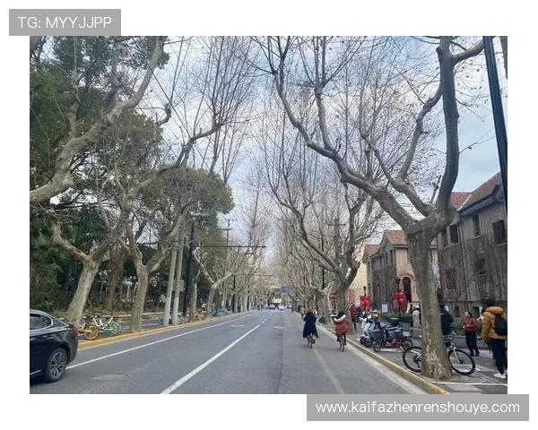 最新ag厅k8登录线路更新信息，确保每次登录都顺畅无阻