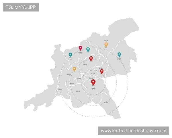 全面解析K8凯发官网app的功能特色与用户体验提升方案