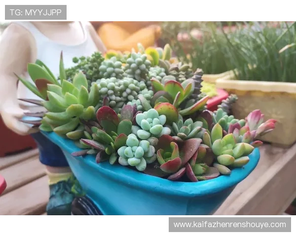 PT电游最新玩法攻略助你轻松掌握丰富奖励与技巧提升体验